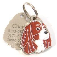 pet tag engraved 2014090401.jpg Namnbrickor för hundar MjavHov - Graverade ID-brickor webbshop